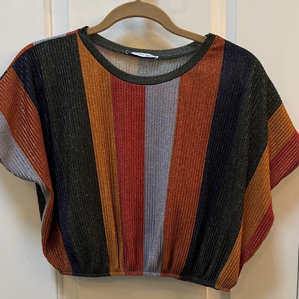Zara Multi-Stripe Metallic Ribbed Crop Top - Rust, Black, Navy, Gray, Gold